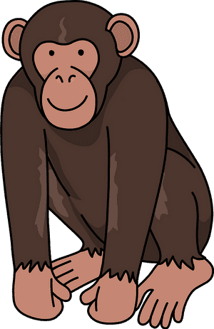 Chimpanzee Monkey Clipart - Chimpanzee Clipart Png, Transparent Png PNG image with transparent background
