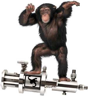 Chimpanzee Standing Up, HD Png Download PNG image with transparent background