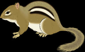 Chipmunk_ Illustration_ Vector PNG with transparent background