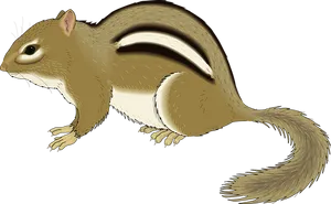 Chipmunk_ Illustration_ Vector_ Art PNG Image