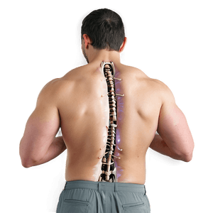 Chiropractic Care for Back PNG 06252024 PNG with transparent background