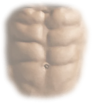 Chiseled Abs Close Up PNG Image