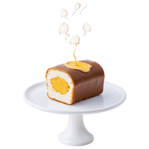 Chocolate Covered Twinkiewith Filling PNG