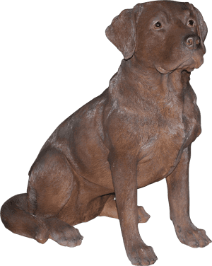 Chocolate With Labrador, HD Png Download PNG image with transparent background