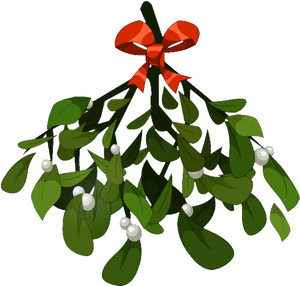 File History - Mistletoe Png PNG image with transparent background