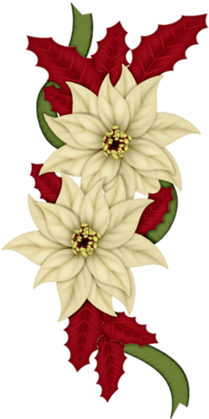 Christmas Bows, Christmas Flowers, Christmas Clipart, - Happy Holidays- Christmas, Holiday, Poinsettia Card PNG with transparent background