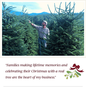 Aboutjoe - Mistletoe Meadows PNG image with transparent background