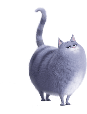 Chloe From Life Of Pets , Png Download - Cat From Pets Life, Transparent Png PNG with transparent background