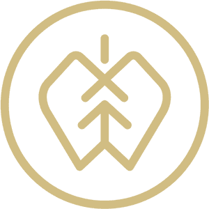 Cider Brand Logo Design PNG image with transparent background