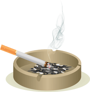 Transparent Tobacco Clipart - Stop Smoking Before Smoking Stops You, HD Png Download PNG image with transparent background