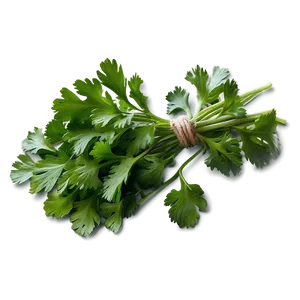 Cilantro Flat Lay Png Kme5 PNG Image