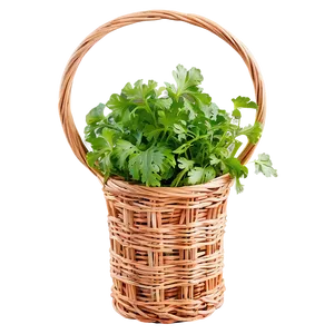 Cilantro In Basket Png Vhx PNG Image