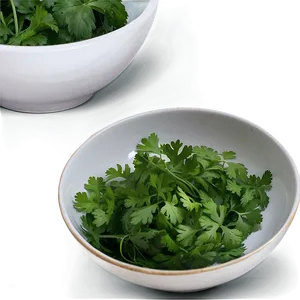 Cilantro In Bowl Png Ian45 PNG Image