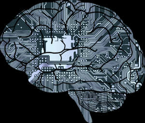 Circuit Board Brain Illustration PNG with transparent background
