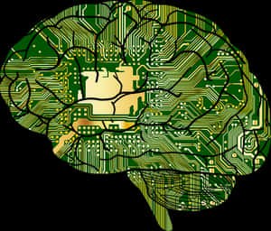 Circuit Board Brain Illustration PNG with transparent background