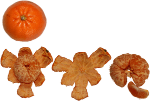 Fruit, Citrus, Healthy, Fresh, Orange, Food, Vitamin - Mandarin Orange, HD Png Download PNG