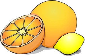 Citrus Fruit Vitamin C Source.png PNG Image