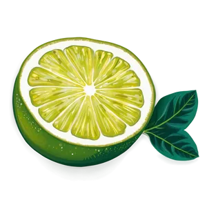 Citrus Lime Slice Png Ruu93 PNG Image