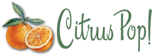 Citrus Pop Graphic PNG Image