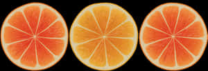 Citrus Slices Triptych PNG image with transparent background
