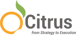 Citrus Consulting Services - Graphic Design, HD Png Download PNG