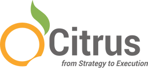 Citrus Strategyto Execution Logo PNG Image