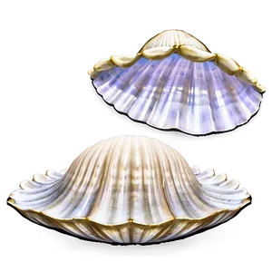 Clam And Cockle Shells Png Ybe17 PNG Image