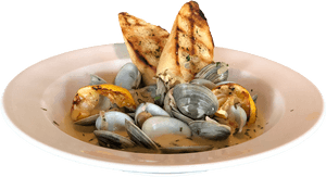 Clam Png, Transparent Png PNG image with transparent background