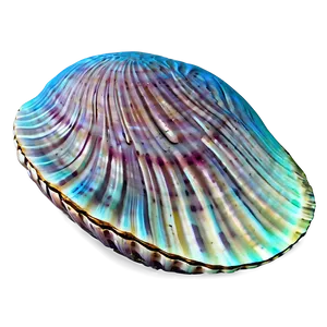 Clam Shell Outline Png Dhw73 PNG Image