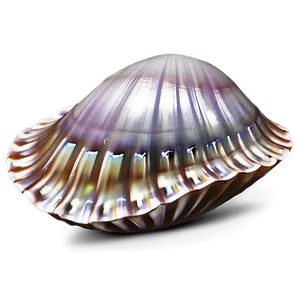 Clam Shell With Pearl Png 10 PNG Image