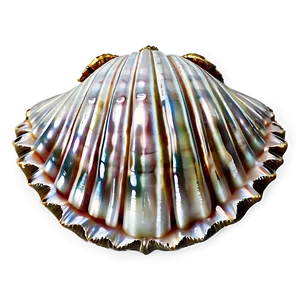 Clam Shell With Pearl Png 46 PNG Image