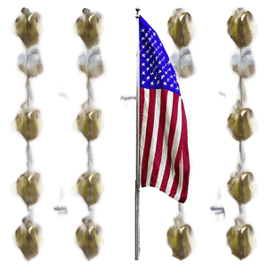 Classic American Flag on Pole PNG efh PNG image with transparent background