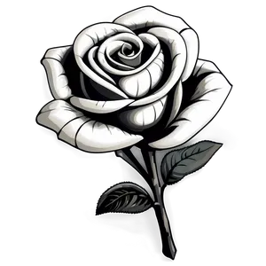 Classic Black And White Rose Illustration Png Nec PNG Image