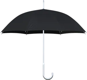 Classic Black Umbrella PNG Image