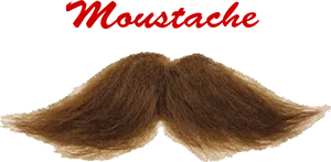 Classic Brown Moustache PNG Image