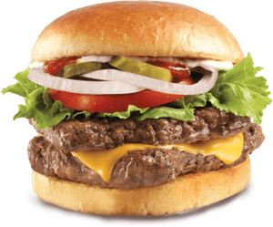Come At Me Sherbro's - Backyard Burger Veggie Burger Review PNG image with transparent background