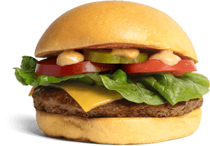 Bfd Burger Cheeseburger 800 X 500px - Cheeseburger, HD Png Download PNG image with transparent background