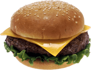 Hamburger, Burger Png Image - Cheeseburger On A Bun, Transparent Png PNG image with transparent background