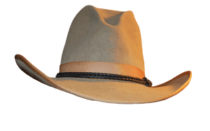 Classic Cowboy Hat Isolated PNG image with transparent background