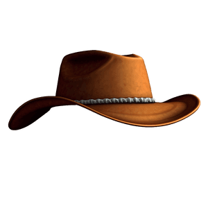 Classic Cowboy Hat No Background PNG 05262024 PNG