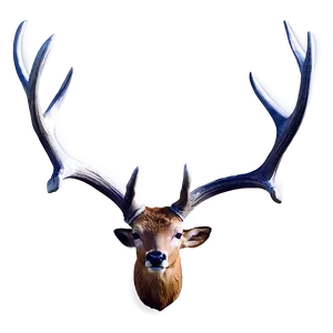 Classic Deer Antler Image Png 06122024 PNG Image