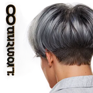 Classic Grey Hairdo Png Rbq PNG Image