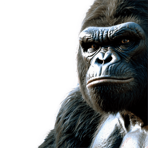 Classic King Kong Poster PNG mev70 PNG