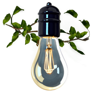 Classic Lightbulb PNG 05242024 PNG