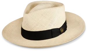 Classic Straw Hatwith Black Band PNG Image