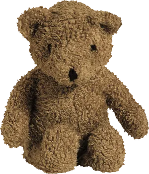 Classic Teddy Bear Portrait PNG Image