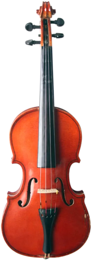 Classic Violin Front View PNG Image