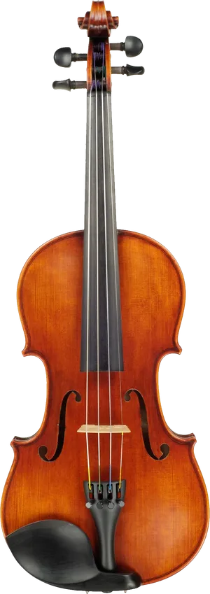 Classic Violin Portrait PNG Image