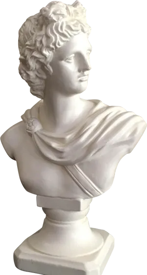 Classical Apollo Bust Sculpture PNG Image