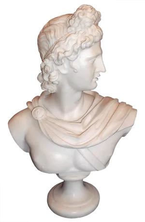 Classical Apollo Bust Sculpture PNG Image